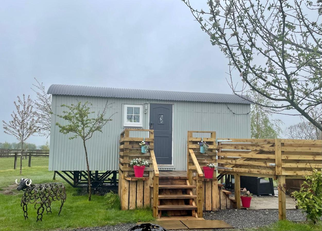 Skipbridge Farm Glamping Villa Green Hammerton Eksteriør bilde