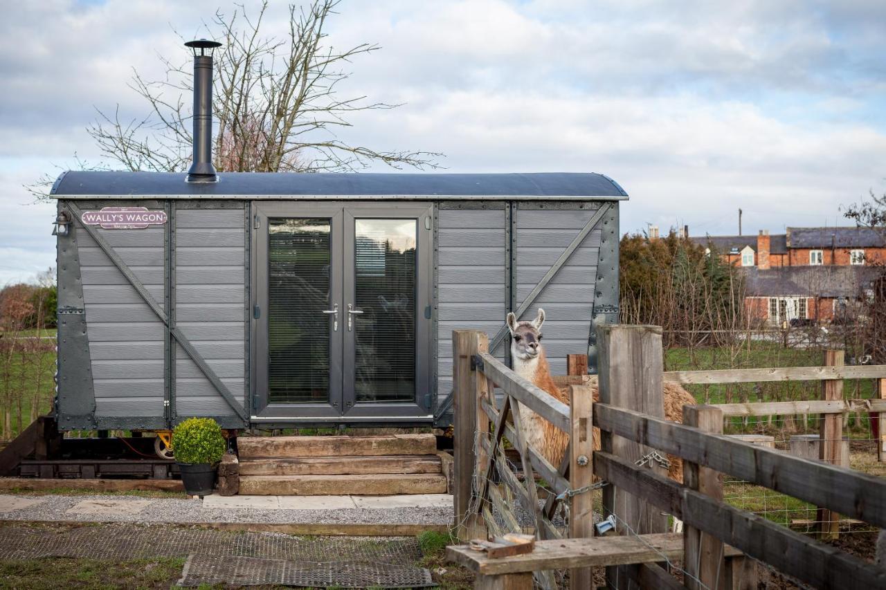 Skipbridge Farm Glamping Villa Green Hammerton Eksteriør bilde